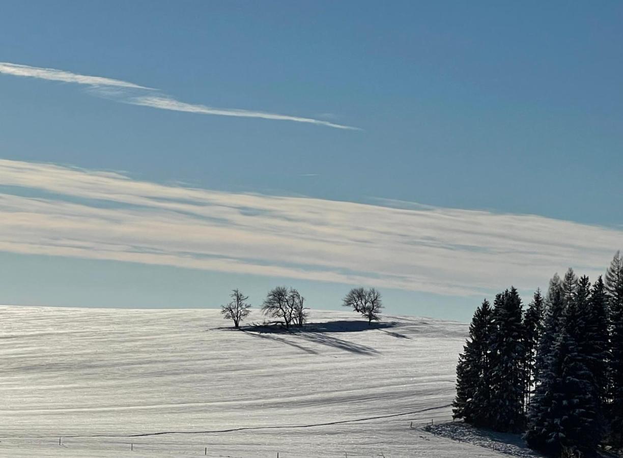 Apartmany Max Vaclavov u Bruntalu Buitenkant foto